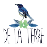 de La Terre Cash